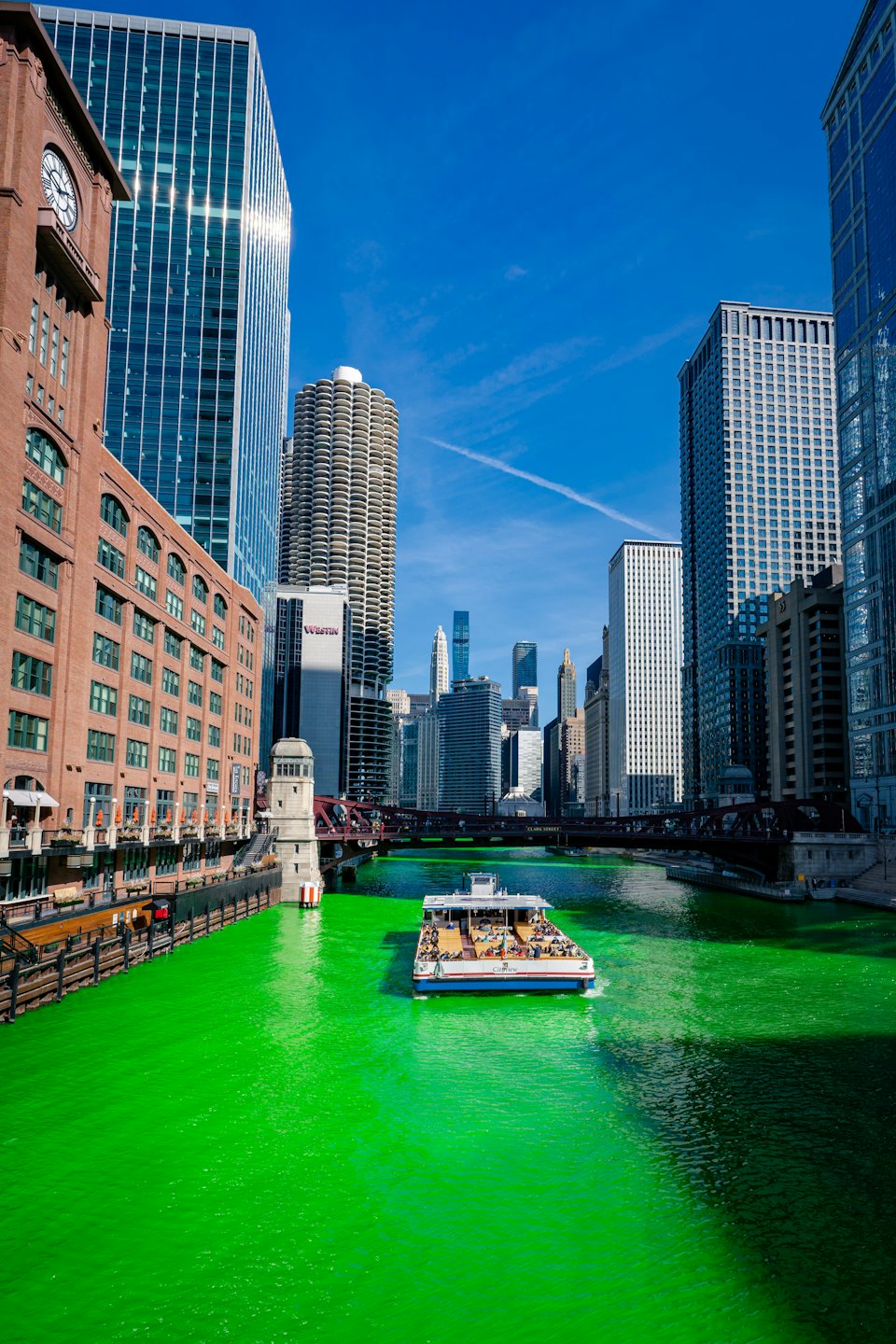 Tour boat on green river near diverse city buildings.